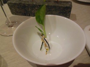 Amuse-bouche Gulrot med hvit saus