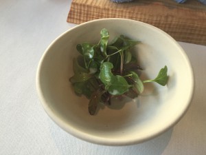 Appetittvekker 8: Salat med fermentert melk