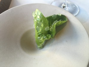 Appetittvekker 8: Salat med lilje