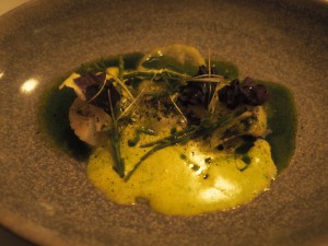 Rett 3: Kamskjell, fennikel og tang