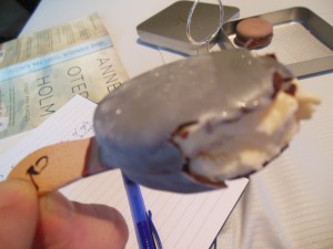 Petit four, magnum iskrem